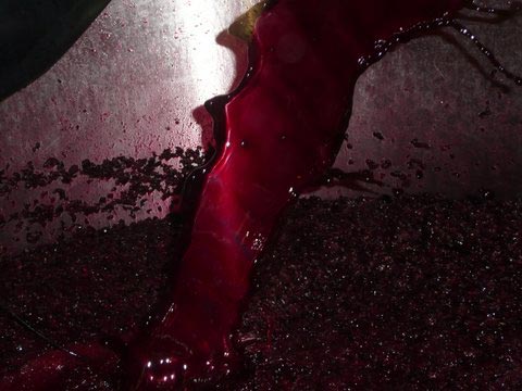 winemaking1